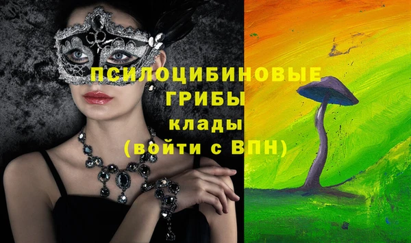 прущая мука Абаза