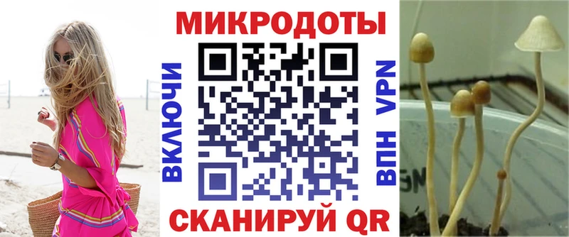 Галлюциногенные грибы GOLDEN TEACHER  KRAKEN ссылка  Кувшиново 