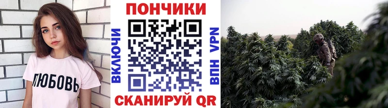 МАРИХУАНА гибрид  Кувшиново 